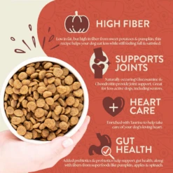 Earthborn Holistic Weight Control Natural Dry Dog Food -Mutts And Co-us 4EarthbornHolisticWeightControlNaturalDryDogFood 7bfb5bb0 c7b6 42cb 825a b895161f318e