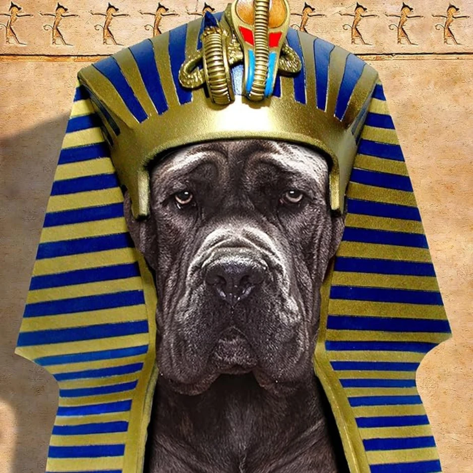 Fromm Ancient Gold Formula Adult Dry Dog Food 6 Fromm Ancient Gold Formula Adult Dry Dog Food - Image 4