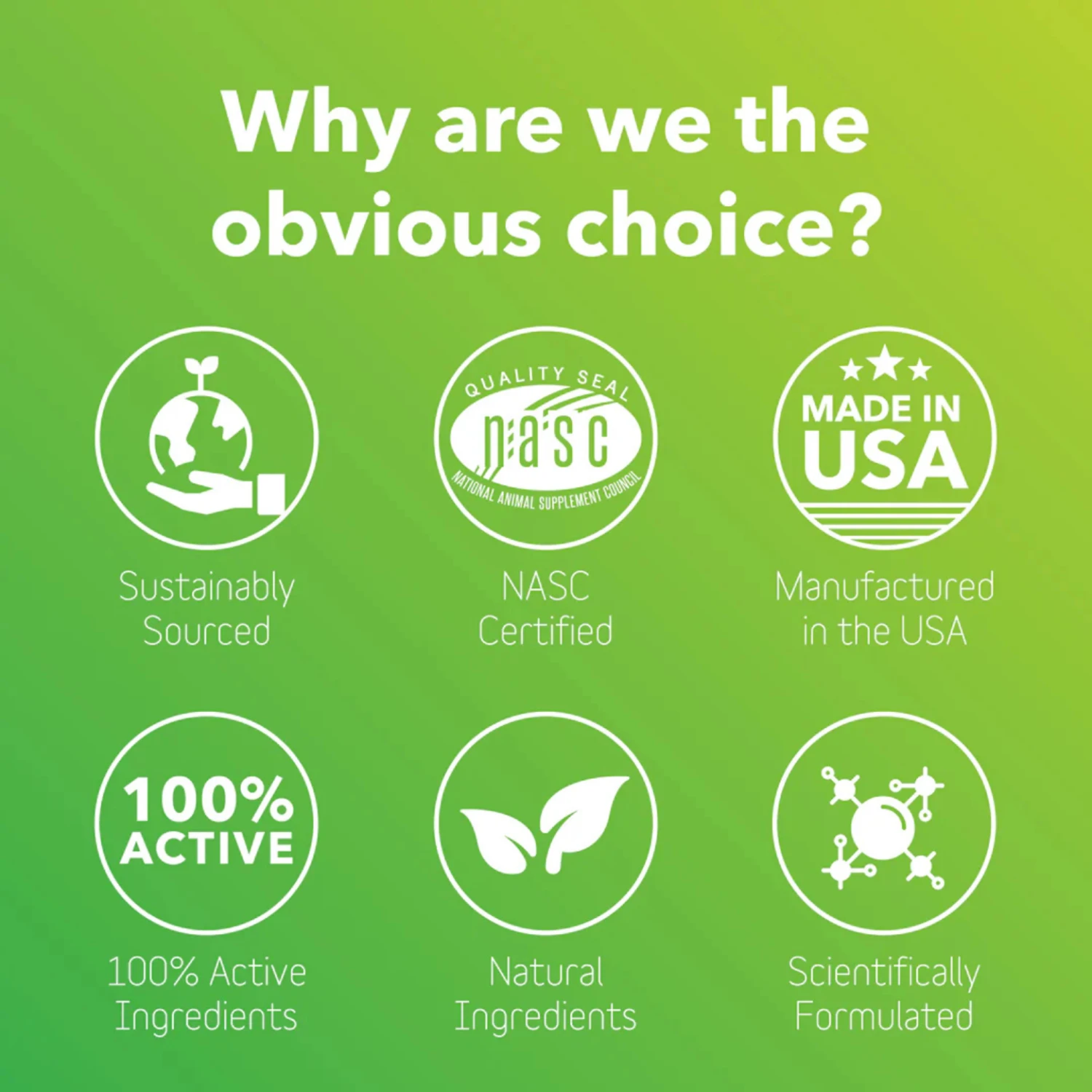 InClover Allergy Supplement For Dogs + Cats (BioResiliant) 6 InClover Allergy Supplement For Dogs + Cats (BioResiliant) - Image 4