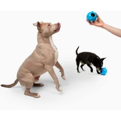 Jolly Pets Dipper Dog Toy Blue 10 Jolly Pets Dipper Dog Toy Blue -Mutts And Co-us 4JollyPetsDipperDogToyBlue