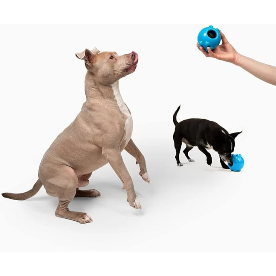 Jolly Pets Dipper Dog Toy Blue 6 Jolly Pets Dipper Dog Toy Blue - Image 4