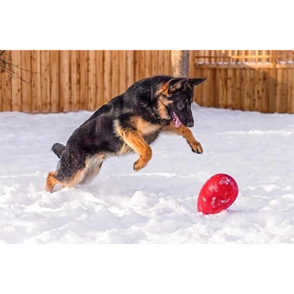 Jolly Pets Egg Dog Toy Red 6 Jolly Pets Egg Dog Toy Red - Image 4