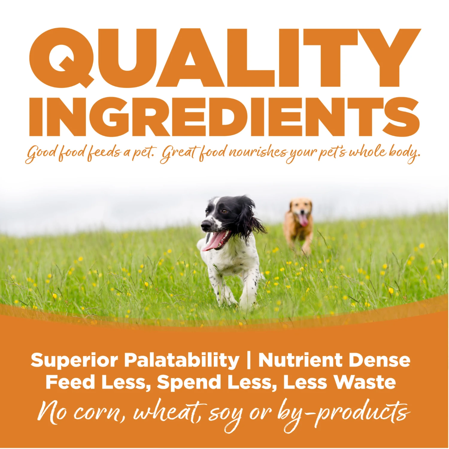 NutriSource Grain-Free Lamb Meal & Peas Formula Dry Dog Food 6 NutriSource Grain-Free Lamb Meal & Peas Formula Dry Dog Food - Image 4