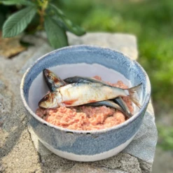 Oma's Pride Whole Sardine Raw Frozen Dog & Cat Food -Mutts And Co-us 4Oma sPrideWholeSardineRawFrozenDog CatFood