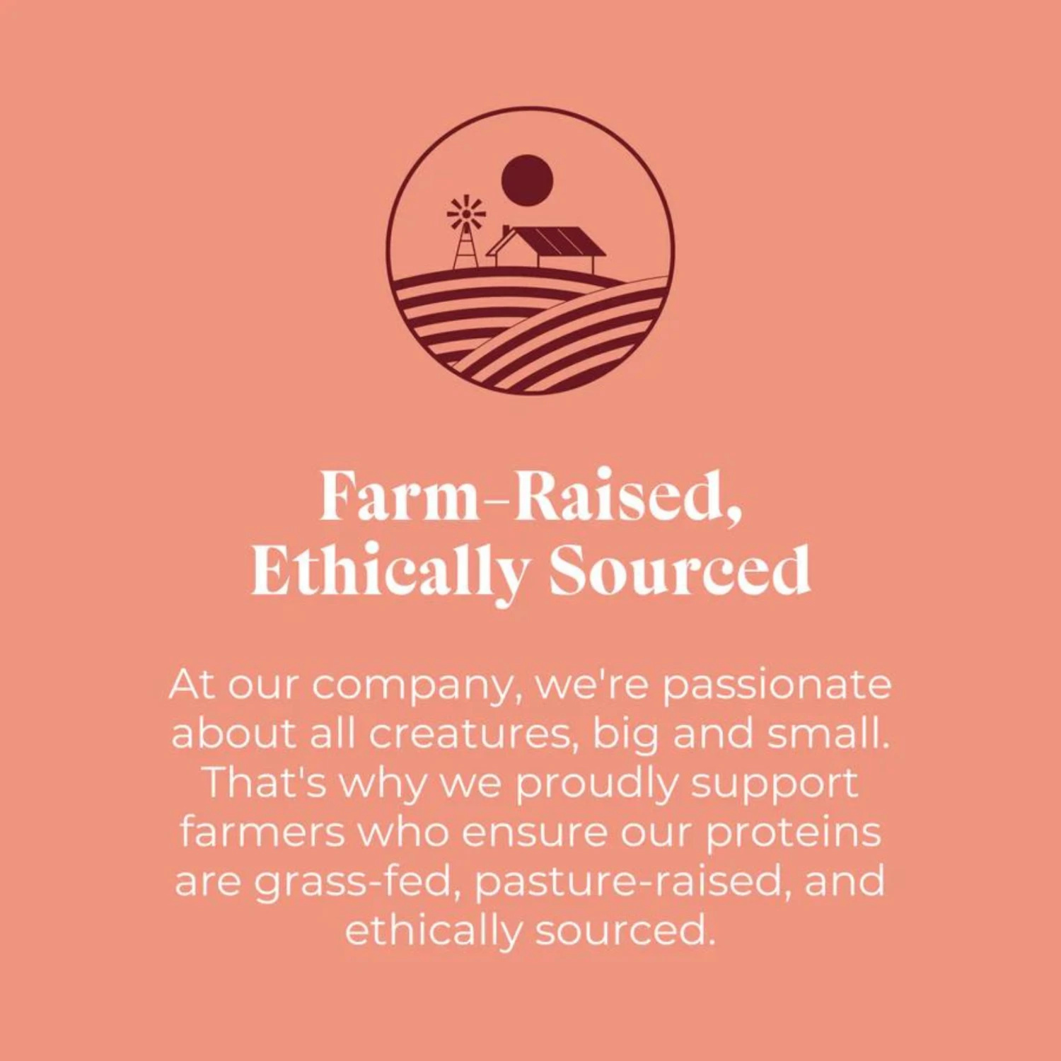 Otis Wild Things Bison Recipe Jerky Dog Treats 4 Oz 6 Otis Wild Things Bison Recipe Jerky Dog Treats 4 Oz - Image 4