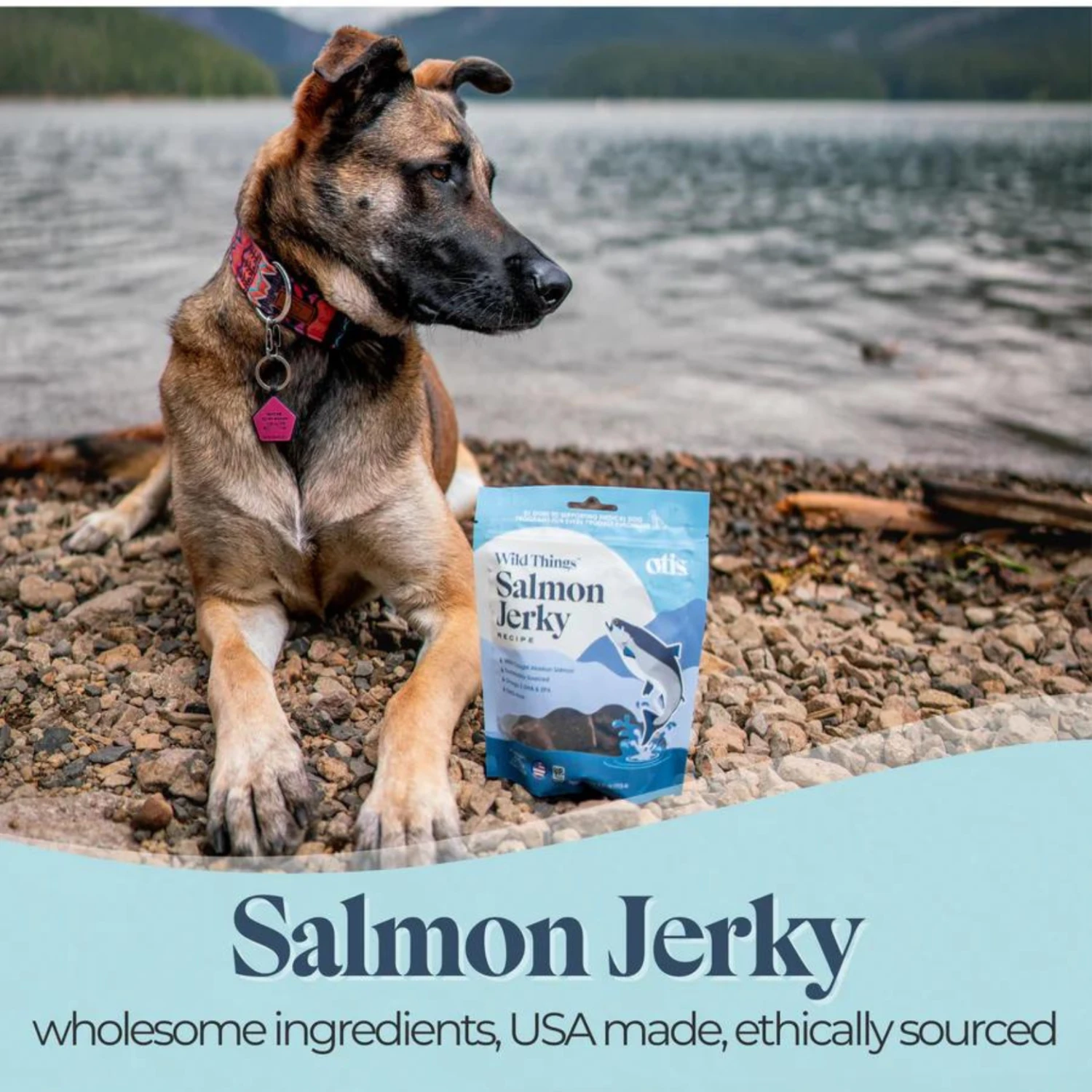 Otis Wild Things Salmon Recipe Jerky Dog Treats 4 Oz 6 Otis Wild Things Salmon Recipe Jerky Dog Treats 4 Oz - Image 4