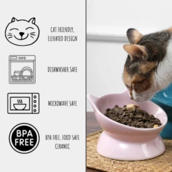 Park Life Designs Oscar Tilt Food Dish For Cats 5" Blue 9 Park Life Designs Oscar Tilt Food Dish For Cats 5" Blue -Mutts And Co-us 4ParkLifeDesignsOscarTiltFoodDishforCats5Blue