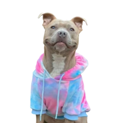 Spark Paws Velvet Dog Hoodie Snow Cone -Mutts And Co-us 4SparkPawsVelvetDogHoodieSnowCone