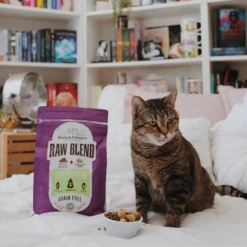 Stella & Chewy's Raw Blend Kibble Cage-Free Poultry Recipe Cat Food -Mutts And Co-us 4Stella Chewy sRawBlendKibbleCage FreePoultryRecipeCatFood