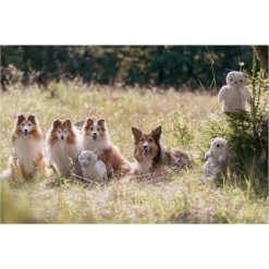 Trixie Emir The Otter Plush Dog Toy, 11.8" 9 Trixie Emir The Otter Plush Dog Toy, 11.8" -Mutts And Co-us 4TrixieEmirtheOtterPlushDogToy 11.8