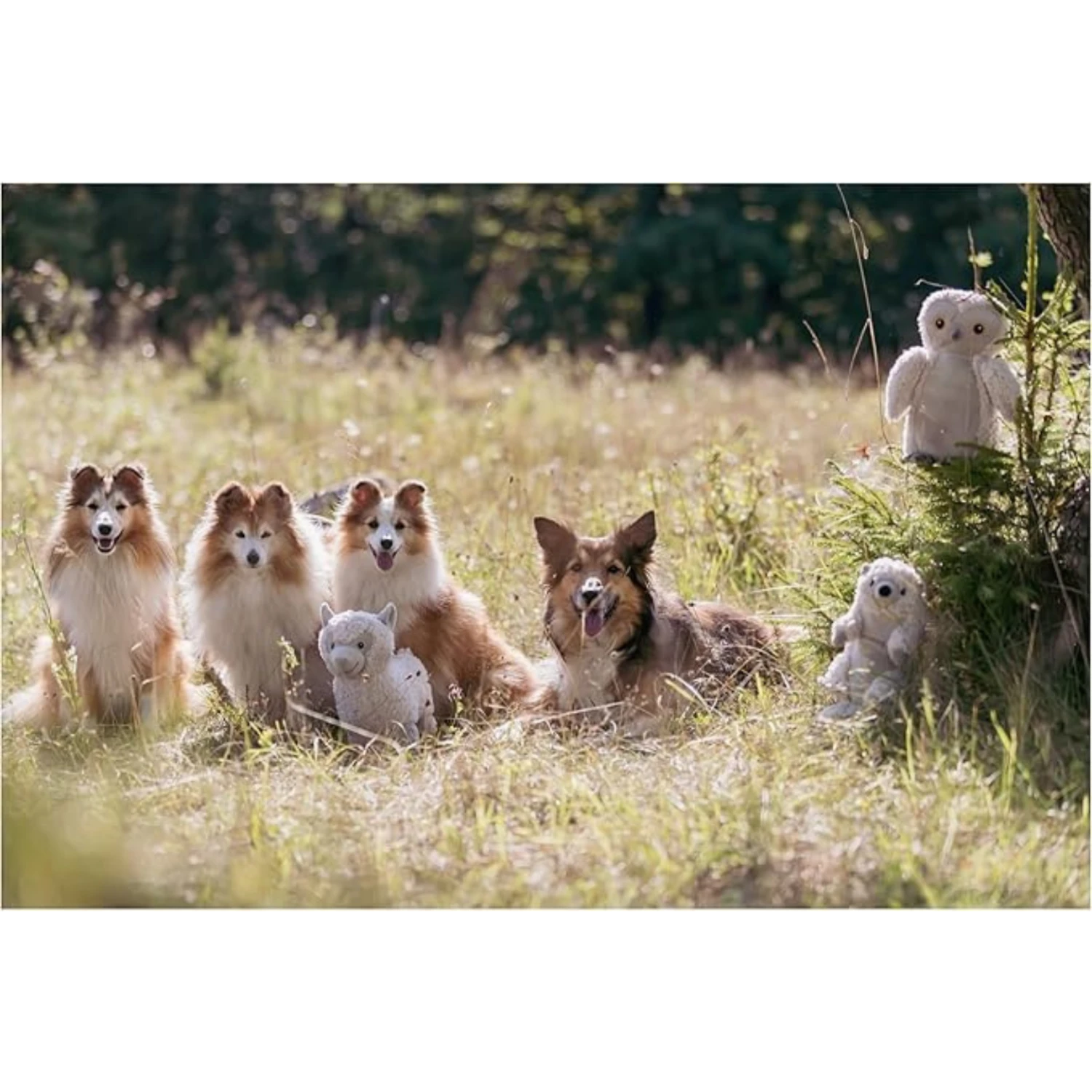 Trixie Emir The Otter Plush Dog Toy, 11.8" 6 Trixie Emir The Otter Plush Dog Toy, 11.8" - Image 4