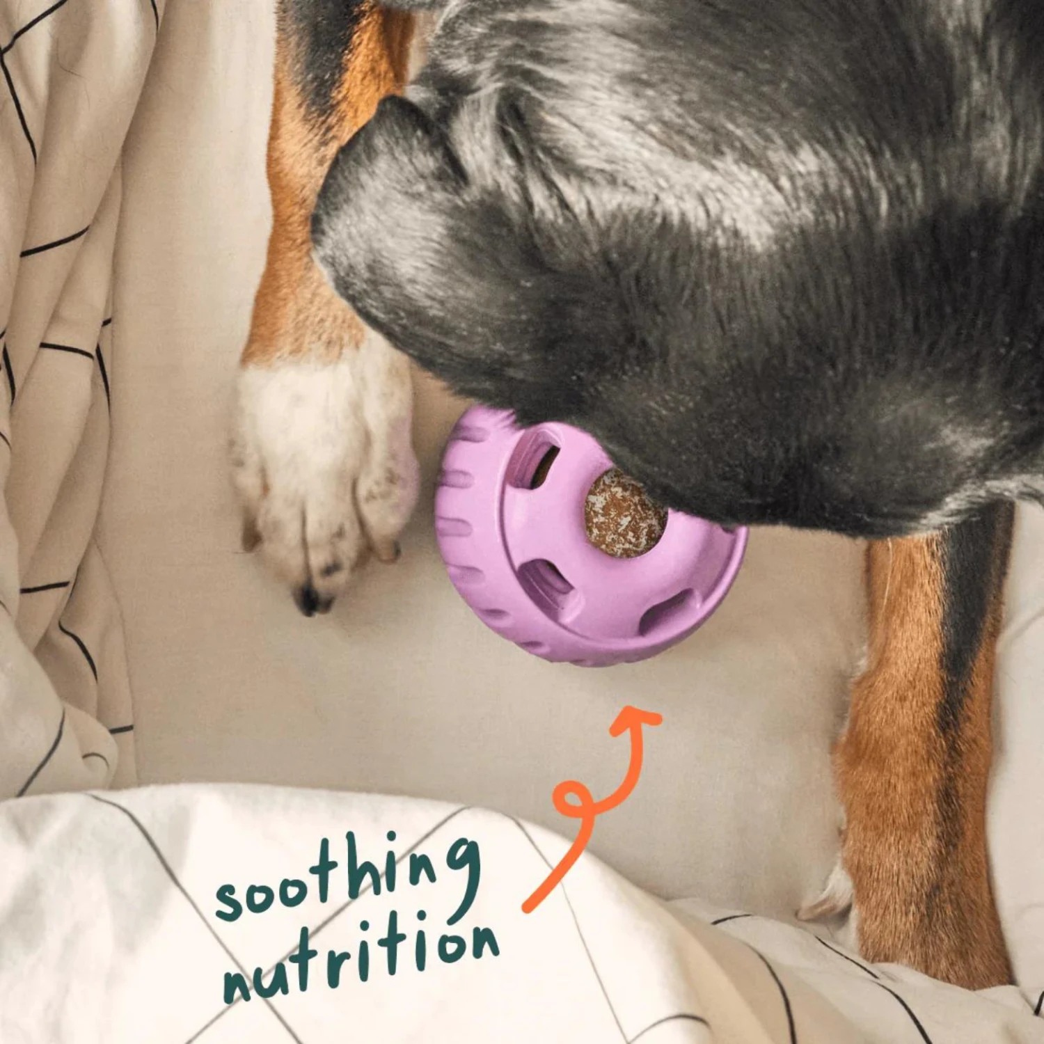 Woof Pet Calming Wellness Pops Dog Treat 7 Woof Pet Calming Wellness Pops Dog Treat - Image 5