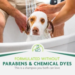 FURminator DeShedding Ultra Premium Shampoo For Dogs, 16-oz Bottle 11 FURminator DeShedding Ultra Premium Shampoo For Dogs, 16-oz Bottle -Mutts And Co-us 5FURminatorDeSheddingUltraPremiumShampooForDogs 16 ozbottle