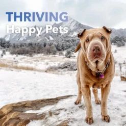 InClover Kidney Supplement For Dogs + Cats (BioRen) 3.5 Oz -Mutts And Co-us 5InCloverKidneySupplementforDogs Cats BioRen