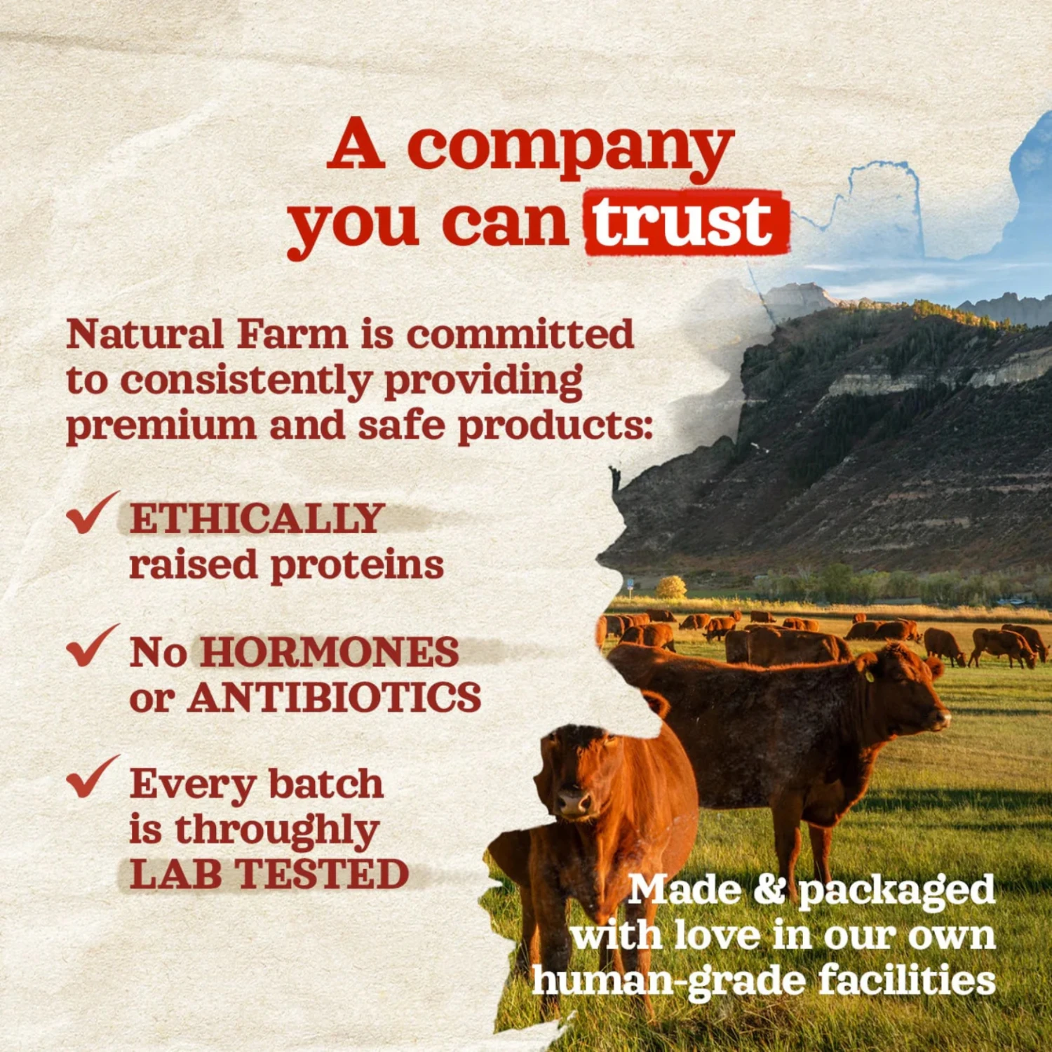 Natural Farm Bully Stick Bites Dog Chew 8 Oz 7 Natural Farm Bully Stick Bites Dog Chew 8 Oz - Image 5