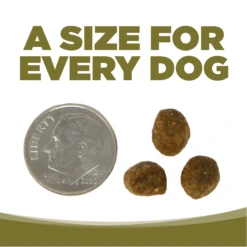 NutriSource Grain-Free Chicken & Pea Small Bites Formula Dry Dog Food -Mutts And Co-us 5NutriSourceGrain FreeChicken PeaSmallBitesFormulaDryDogFood