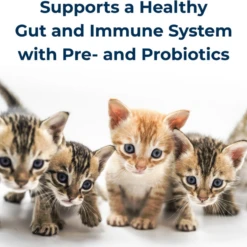 PetAg® Kitten Milk Replacer Powder 12oz -Mutts And Co-us 5PetAg KittenMilkReplacerPowder12oz