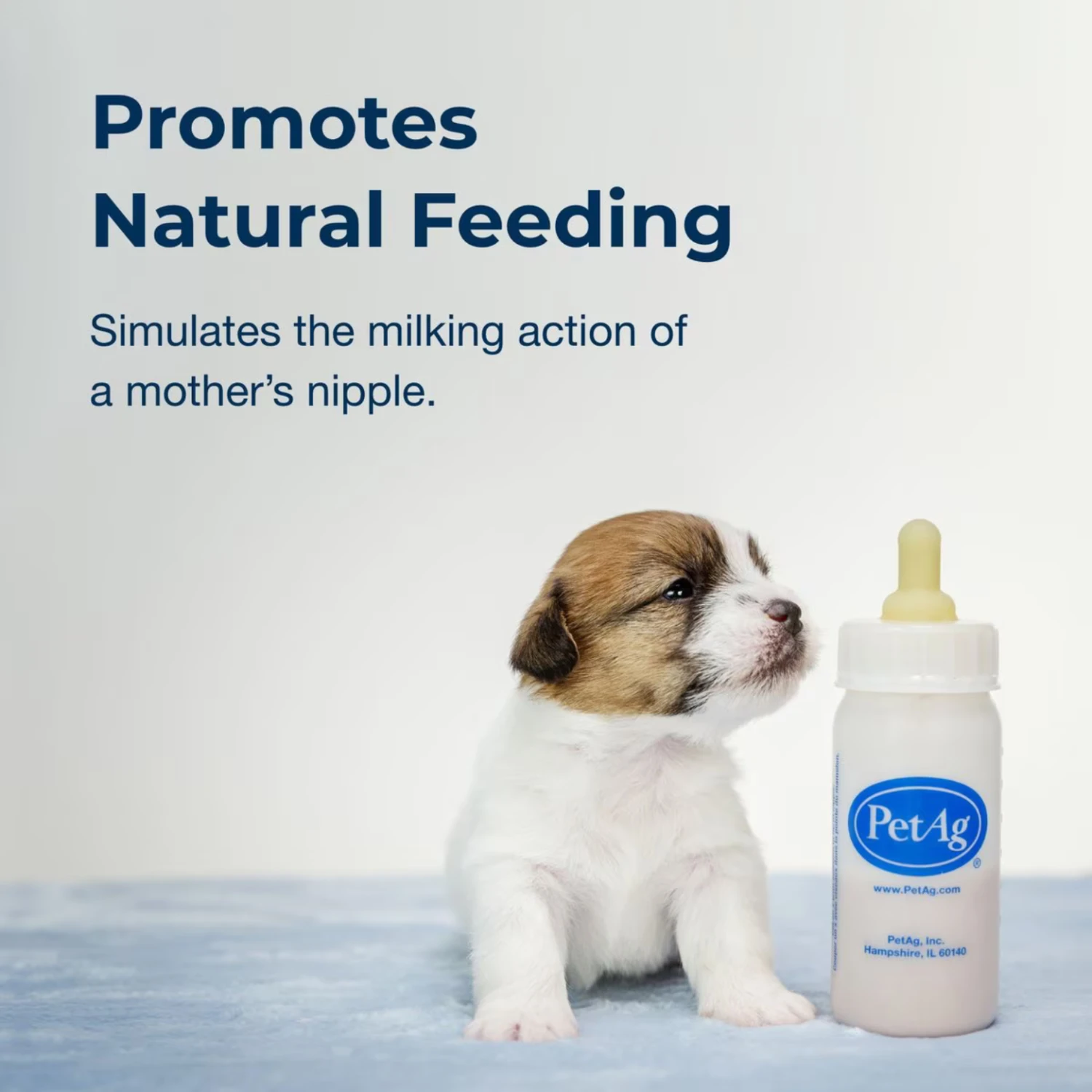 PetAg® Nurser Bottle For Kittens 2 Oz 7 PetAg® Nurser Bottle For Kittens 2 Oz - Image 5