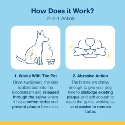 Proden PlaqueOff Mini Dental Care Bones Peanut Butter & Bacon, 12oz 16 Proden PlaqueOff Mini Dental Care Bones Peanut Butter & Bacon, 12oz -Mutts And Co-us 5ProdenPlaqueOffDentalCareBones 17oz ec70d4dc e777 4c35 8ede ac4d5e41578a