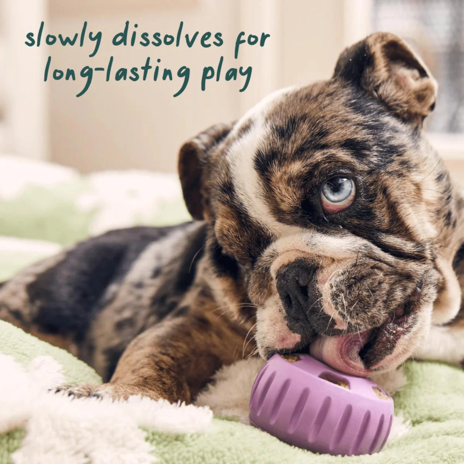 Woof Pet Calming Wellness Pops Dog Treat 8 Woof Pet Calming Wellness Pops Dog Treat - Image 6