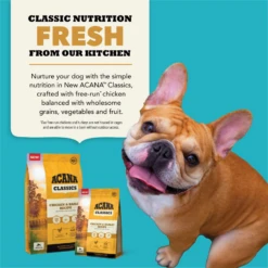 Acana Classics Chicken & Barley Recipe Dry Dog Food -Mutts And Co-us 6AcanaClassicsChicken BarleyRecipeDryDogFood