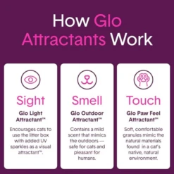 Boxiecat Glo Natural Attractions Clumping Clay Litter 11 Boxiecat Glo Natural Attractions Clumping Clay Litter -Mutts And Co-us 6BoxiecatGloNaturalAttractionsClumpingClayLitter d8ca2ccb d102 448c 951e a4cf31768c88