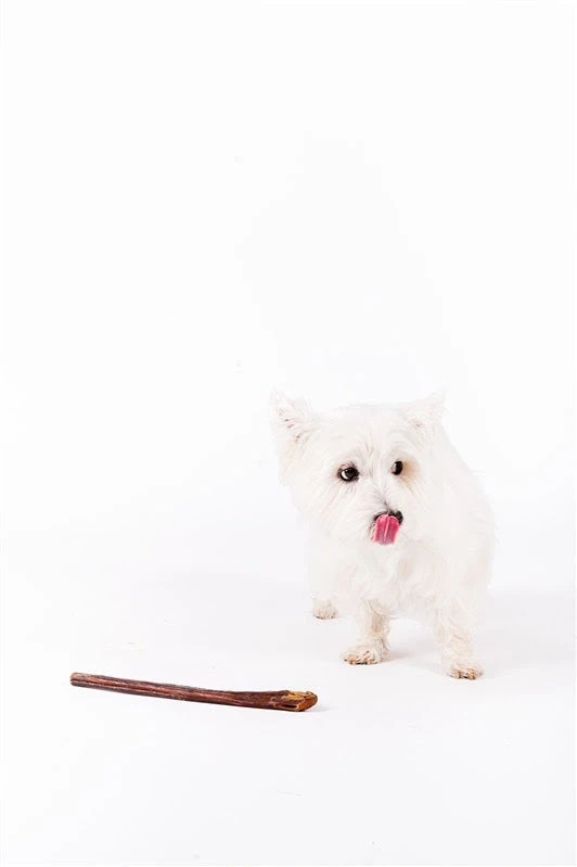 Boneanza Treat Co. Low Odor Standard Bully Stick 12" 6pk 4 Boneanza Treat Co. Low Odor Standard Bully Stick 12" 6pk - Image 2