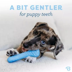 Benebone Puppy Wishbone & Rubber Pack Chew Toy, 2 Pack -Mutts And Co-us BenebonePuppyWishbone RubberPackChewToy 2pack