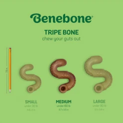 Benebone Tripe Flavored Bone Dog Chew Toy -Mutts And Co-us BeneboneTripeFlavoredBoneDogChewToy 1