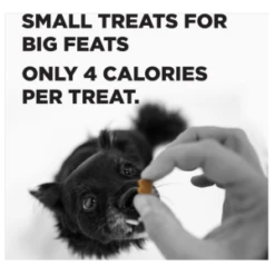 Bixbi Pocket Trainers Bacon Dog Treats 6oz -Mutts And Co-us BixbiPocketTrainersBaconDogTreats6oz 2