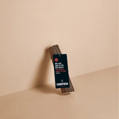 Canophera Red Deer Antlers (Whole) Dog Chew XX-Large 3 Canophera Red Deer Antlers (Whole) Dog Chew XX-Large