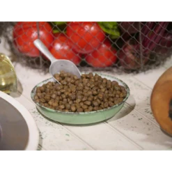 Dr. Gary's Best Breed Holistic Coldwater Recipe Dry Dog Food 7 Dr. Gary's Best Breed Holistic Coldwater Recipe Dry Dog Food -Mutts And Co-us Copyof2Dr.Gary sBestBreedHolisticColdwaterRecipeDryDogFood