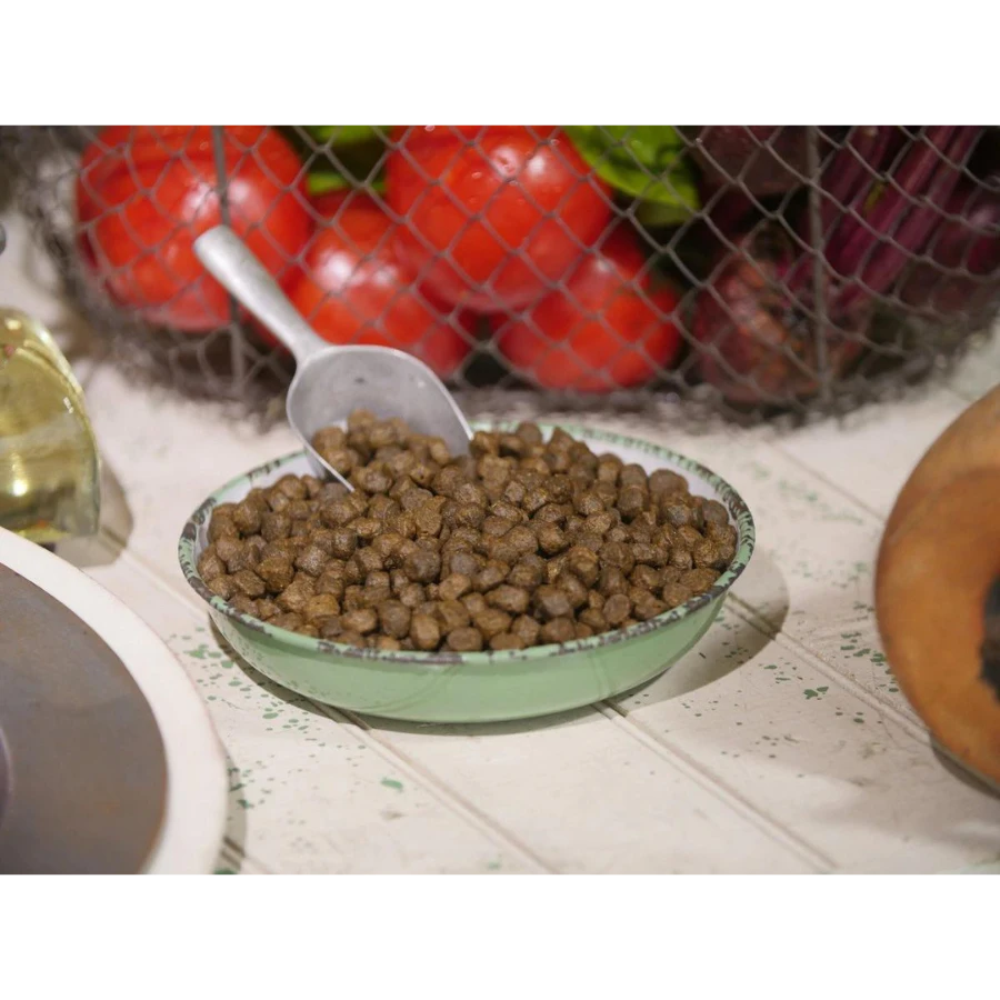 Dr. Gary's Best Breed Holistic Coldwater Recipe Dry Dog Food 5 Dr. Gary's Best Breed Holistic Coldwater Recipe Dry Dog Food - Image 3