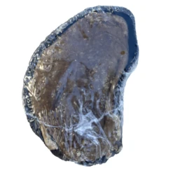 Great Lakes Filled Cow Hooves, Md/Lg, Chicken 7 Great Lakes Filled Cow Hooves, Md/Lg, Chicken -Mutts And Co-us Copyof3GreatLakesFilledCowHooves MdLg Bacon Cheese