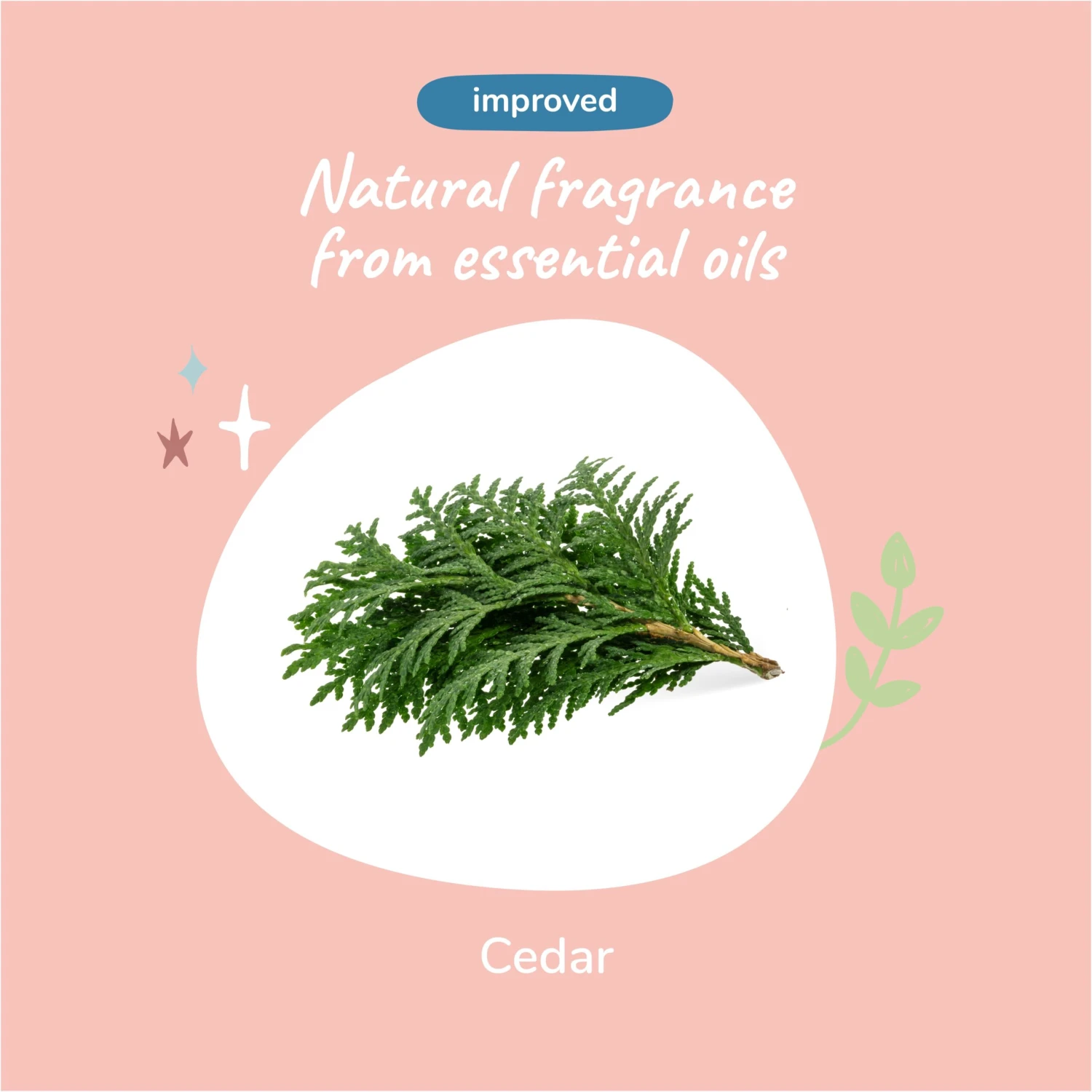 Kin + Kind Dry Skin & Coat Natural Shampoo For Dogs Cedar, 12 Oz 7 Kin + Kind Dry Skin & Coat Natural Shampoo For Dogs Cedar, 12 Oz - Image 5