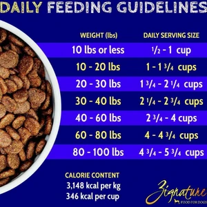 Zignature Salmon Limited Ingredient Formula Dry Dog Food 6 Zignature Salmon Limited Ingredient Formula Dry Dog Food - Image 4