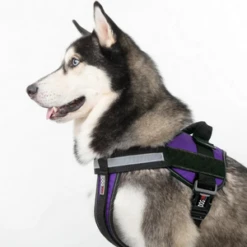 Dogline Unimax Multi-Purpose Dog Harness Black -Mutts And Co-us CopyofDoglineUnimaxMulti PurposeDogHarnessProductDetailsSizing
