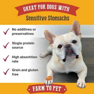 Farm To Pet Chicken Chips Dog Treats 5 Farm To Pet Chicken Chips Dog Treats - Image 3