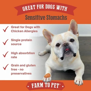 Farm To Pet Turkey Chips Dog Treats 6 Farm To Pet Turkey Chips Dog Treats - Image 4