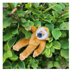 Fluff & Tuff Marcel The Monkey 13" Plush Dog Toy 9 Fluff & Tuff Marcel The Monkey 13" Plush Dog Toy -Mutts And Co-us Fluff TuffMarceltheMonkey13PlushDogToy