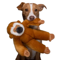 Fluff & Tuff Marcel The Monkey 13" Plush Dog Toy 8 Fluff & Tuff Marcel The Monkey 13" Plush Dog Toy -Mutts And Co-us Fluff TuffMarceltheMonkey13PlushDogToy 3