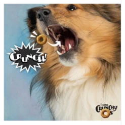 Fromm Crunchy O's Bacon Blasters Dog Treats 8 Fromm Crunchy O's Bacon Blasters Dog Treats -Mutts And Co-us FrommCrunchyO sBaconBlastersDogTreats 6 ozbag 1