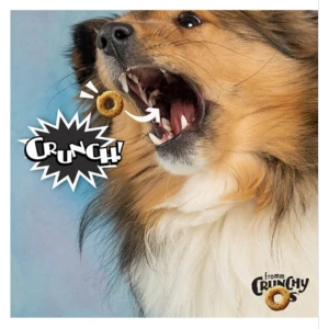 Fromm Crunchy O's Bacon Blasters Dog Treats 5 Fromm Crunchy O's Bacon Blasters Dog Treats - Image 3