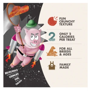 Fromm Crunchy O's Bacon Blasters Dog Treats 4 Fromm Crunchy O's Bacon Blasters Dog Treats - Image 2