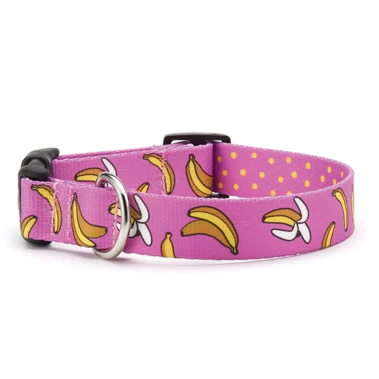 Up Country Go Bananas Printed Dog Collar 3 Up Country Go Bananas Printed Dog Collar