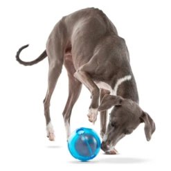 Guru Ball Interactive Treat Dispensing Dog Toy -Mutts And Co-us GuruBallInteractiveTreatDispensingDogToy3