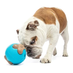 Guru Busy Ball Treat Dispensing Dog Toy, Medium -Mutts And Co-us GuruBusyBallTreatDispensingDogToy Medium2