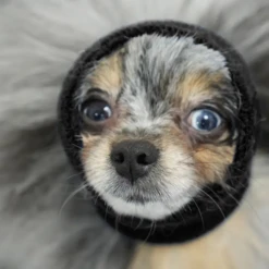 Happy Hoodie Calming Cap For Dogs -Mutts And Co-us Happy Hoodie Calming Cap for Dogs14 1