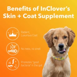 InClover Skin & Coat Supplement For Dogs + Cats (BioRadiant) 100g -Mutts And Co-us InCloverSkin CoatSupplementforDogs Cats BioRadiant 2