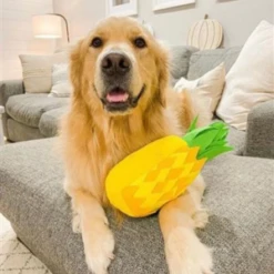 Injoya Pineapple Snuffle Feeding Mat For Dogs -Mutts And Co-us InjoyaPineappleSnuffleFeedingMatForDogs 1